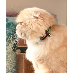 X-GIRL/エックスガール/猫カラー　ボックスロゴS/猫用品