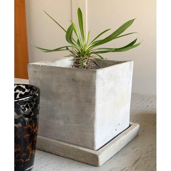 花瓶 SOLID PLANTER CUBE L/4号 植木鉢