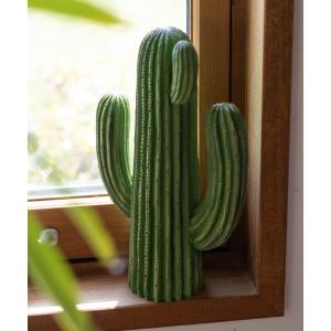 インテリア メンズ CACTUS E / カクタス｜ZOZOTOWN Yahoo!店