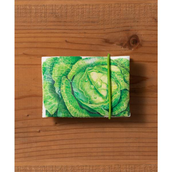 カードケース 「stairs」CARD CASE VEGE カードケース