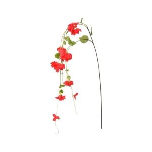 ブーゲンビリアの商品一覧 通販 Yahoo ショッピング