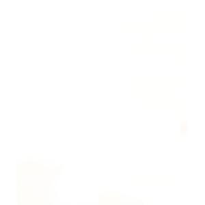 ダウン ダウンジャケット RINGS プードルファーコート