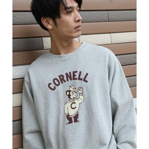 スウェット ＵＣＬＡ／ユーシーエルエーUSAコットンカレッジロゴトレーナー／ロゴスウェット