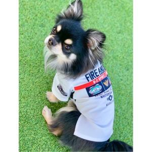 ペット Avirex アヴィレックス パッチドミリタリー 犬服 ドッグウェア 最安値 価格比較 Yahoo ショッピング 口コミ 評判からも探せる