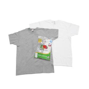 tシャツ Tシャツ FRUIT OF THE LOOM スタンダード半袖2パックTシャツ/ J3930HD