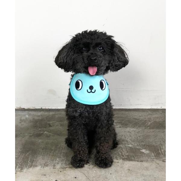 犬 服 BEST FRIENDS:BF クールスカーフ　保冷剤付き