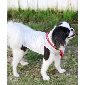 犬と生活 犬 服 犬と生活/クールボーダーマリン : ZOZOTOWN Yahoo!店
