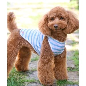 RALPH LAUREN HOME（ラルフ ローレン ホーム） 犬 服 コットン
