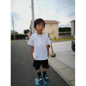 ポロシャツ 鹿の子半袖ポロシャツ