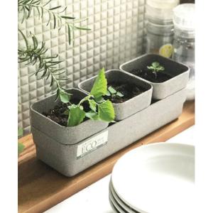 花瓶 レディース BENIGN エコハーブポット3個＆トレイセット