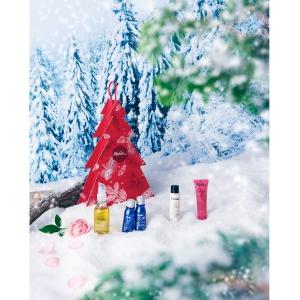 Xmas 2020 ピニャータ