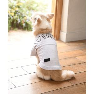ペット AVIREX/アヴィレックス/ビッグロゴTシャツ/犬服(ドッグウェア)