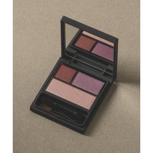 KOSE ヴィセ リシェ アイカラーパレット NA 01 ゴールドブラウン系 4g