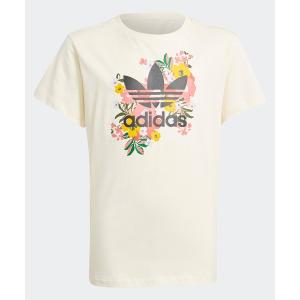 Tシャツ Tシャツ ディズニー カーミット オーガニックコットン Tシャツ アディダスオリジナルス キッズ 子供用 Zozotown Paypayモール店 通販 Paypayモール