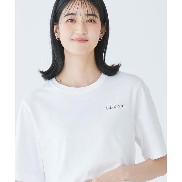 tシャツ ジャパン・フィット　レイクウォッシュ・オーガニック・コットン・グラフィック・ティ、グラフィ...