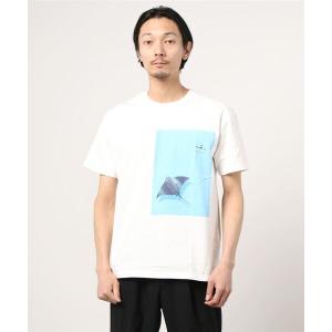 tシャツ Tシャツ 【 JONAS CLAESSON / ジョナス・クレアッソン 】EAGLE RAY プリント半袖Tシャツ NSB｜zozo