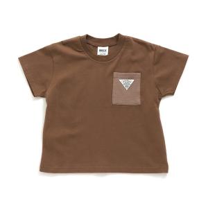 tシャツ Tシャツ /WEB限定カラバリTシャツ