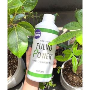 レディース 花瓶 フルボ酸 植物活性剤 1000ml｜zozo