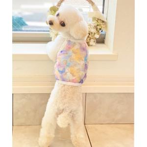 anifull 公式】 保定のできる犬型医療シミュレーター「しばわん
