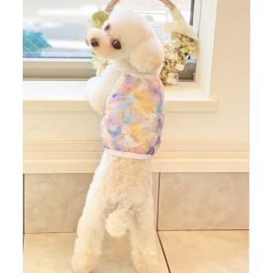 ペット レディース BEST FRIENDS :犬服 フラワー シースルーチュール カットソー｜zozo