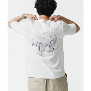 tシャツ Tシャツ WWF ANIMAL Tシャツ 半袖  1