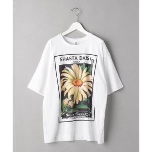 tシャツ Tシャツ ＜Niche. (ニッチ) ＞ SHASTA TEE/Tシャツ
