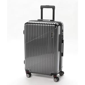 エース Aceスーツケース クレスタ エキスパンド機能　機内持ち込み可 39L WEB限定】 ACE クレスタ スーツケース 34/39L エキスパンド機能 機内