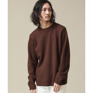 ニット 「WEB限定」ラーベン編みクルーネックニット