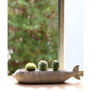 花瓶 フィッシュプランター Sサイズ