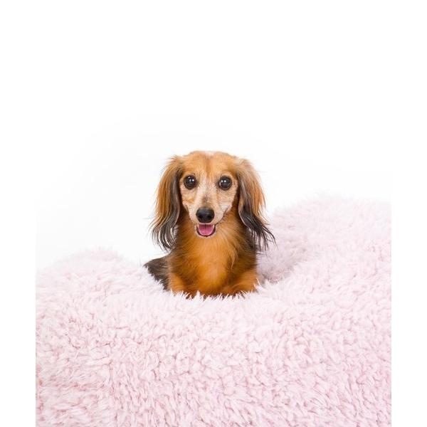 ペット マット MODERNBEAST POD