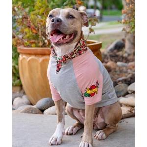 Barbour（バブアー） 犬 服 タータンキルト ドッグコート : ZOZOTOWN