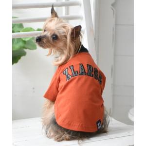 ペット XLARGE/ゼブラロゴTシャツ