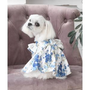 ペット レディース LAURA ASHLEY/ショルダーコットンフリルワンピース｜zozo