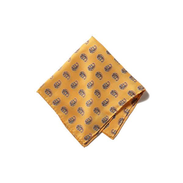ハンカチ BEAMS PLUS / ビッグ ペイズリープリント シルク チーフ メンズ