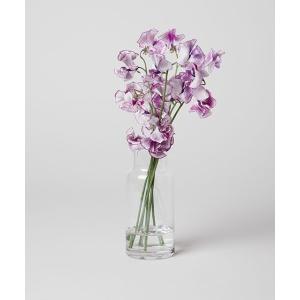 新品未使用　ナタリーレテ✖️rice 花瓶セット　コアラ Nathalie Lete×rice 