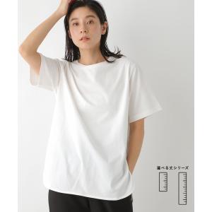 tシャツ Tシャツ レディース スソラウンドレイヤードTシャツ　262393｜zozo