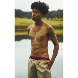 BIRDWELL 水着 32サイズ 茶色 ストライプ　新品未使用 BIRDWELL（バードウェル） 水着 「BIRDWELL/バードウェル」300