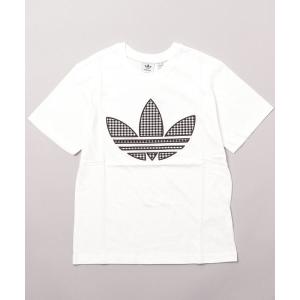tシャツ Tシャツ adidas アディダス W TRF TEE(GG) ショートスリーブ HB9436 WHITE