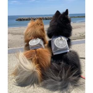PRADA（プラダ） 2YG008 BV1 F0002 ナイロン リード ペット用品 犬