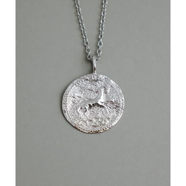 ネックレス 金属アレルギー対応「ieLS」12星座　コインネックレス　シルバー メンズ レディース