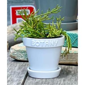 花瓶 BOTANY POT 3/3号 植木鉢の商品画像