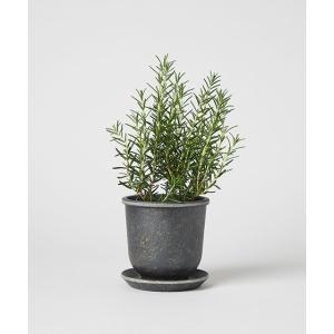 花瓶 「YARD inc.」スプラウト エコソーサー S/358426