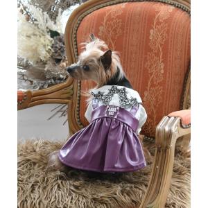 犬 服 ANNA SUI/フェイクレザープリーツワンピース