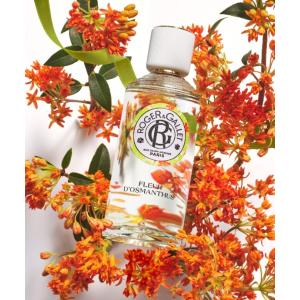 FERRAGAMO（フェラガモ） 香水 フィアンマ オーデ パルファム 55mL
