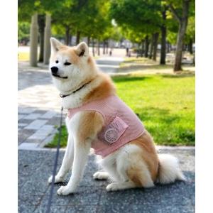ペット メンズ 空調ペット服-COOL DOG-（大きいサイズ）｜zozo