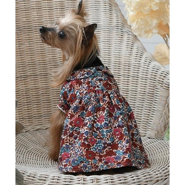 犬 服 LAURA ASHLEY/襟付きワンピース