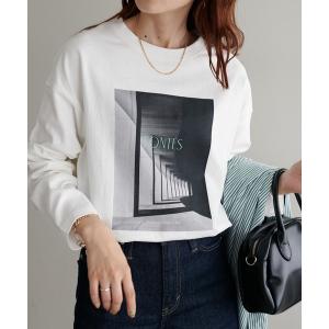 tシャツ Tシャツ アソートフォトロングTシャツ