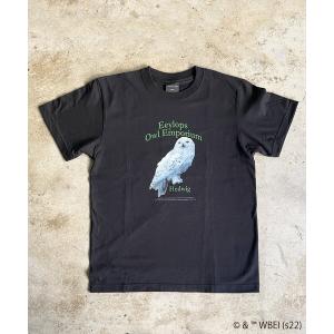 tシャツ Tシャツ レディース FD: キャラチョイ HARRYPOTTER ハリーポッター Tシャツ｜ZOZOTOWN Yahoo!店