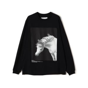tシャツ Tシャツ JANE SMITH:〈洗濯機可能〉シアー ボートネック tシャツ Tシャツ JANE SMITH:〈洗濯機可能〉シアー ボートネック