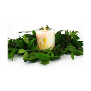 Malie Organics（マリエオーガニクス） キャンドル Pineapple Soy